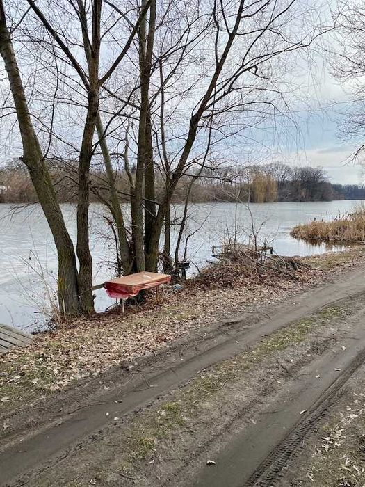 Продам земельну ділянку Шаровка Богодухівський район (169139)