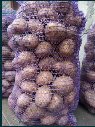 Картопля велика домашня біла роса, можлива доставка