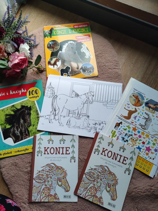 Zestaw kolorowanka konie