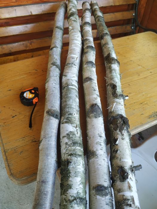 Dekoracje z brzozy patyki, pieńki, plastry, chrust