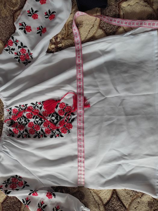 Вишиванка з спідничкою