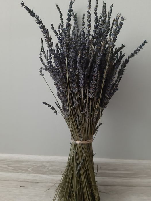 Лавандин . Ароматный