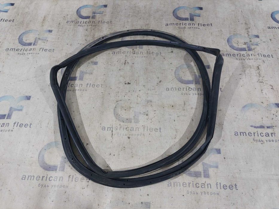 Chrysler 200 15-17 Уплотнитель двери передний / задний