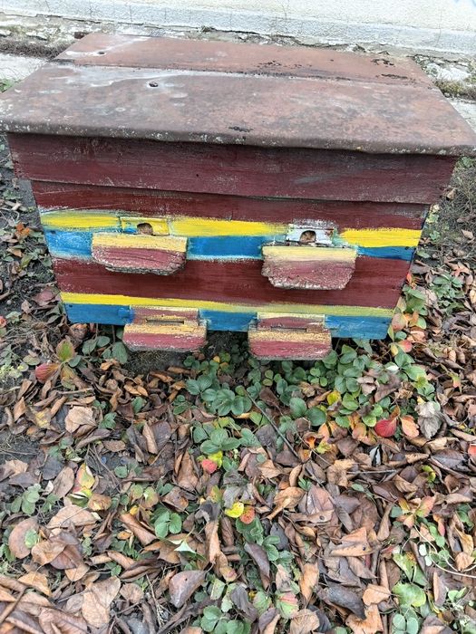 Продам вулики лежаки