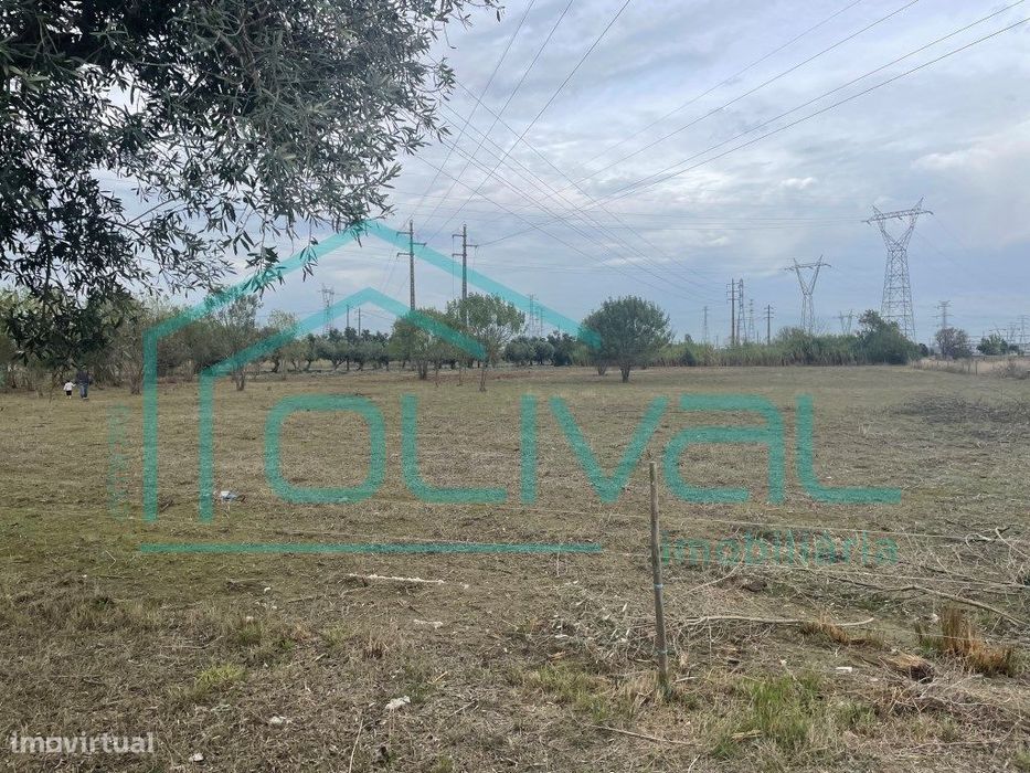 Terreno Rustico Inserido em zona Industrial