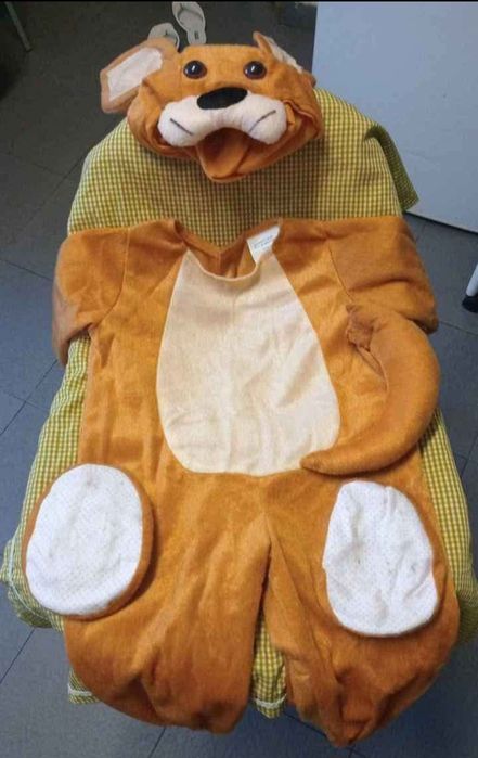 Fatos de carnaval bebe 2 anos