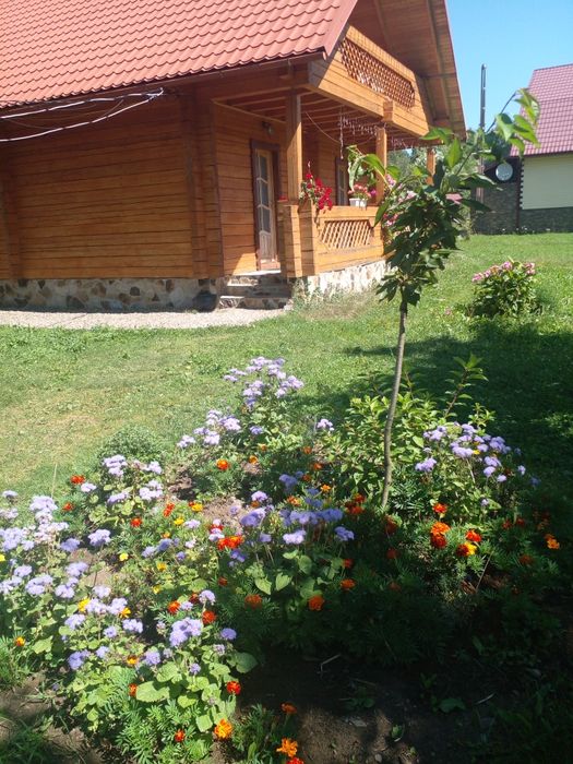 Здається котедж на три окремі номери