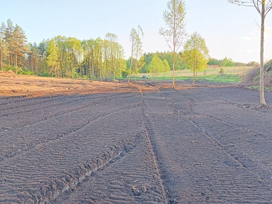 MulczerLesnyWgłębnyWycinkaDrzewSamosiewówPraceZiemneUsługiKoparką