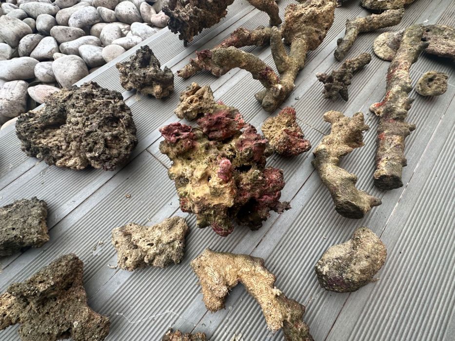 Rocha viva de aquário Reef (água salgada) 71kg