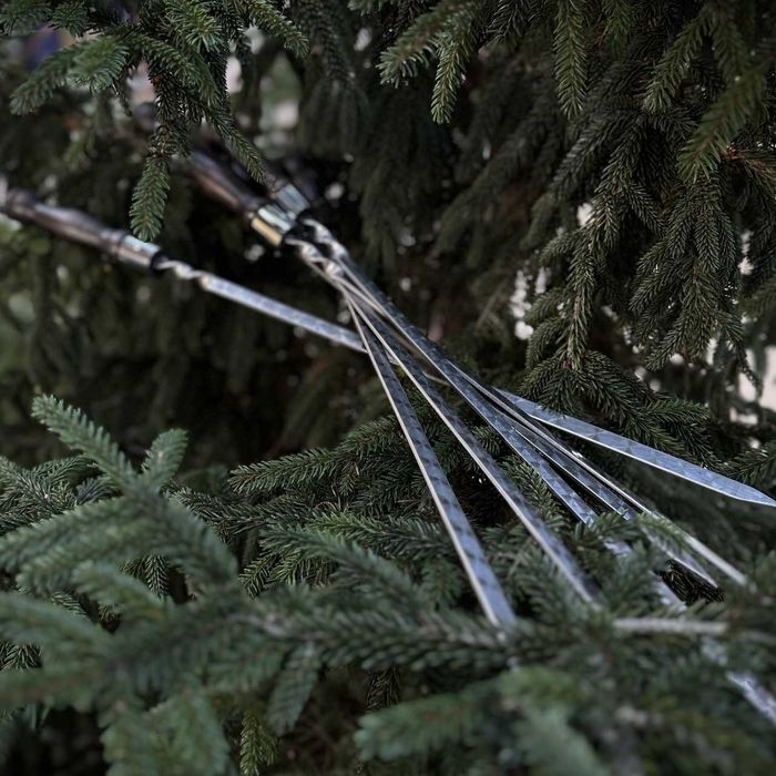 Набір шампурів БІЗОН BS3/1 з сумкою Набор шампуров для шашлыка в кейсе