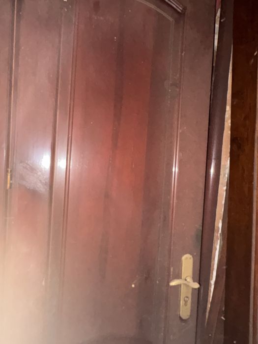 Двері вхідні однопольні і двохпольні