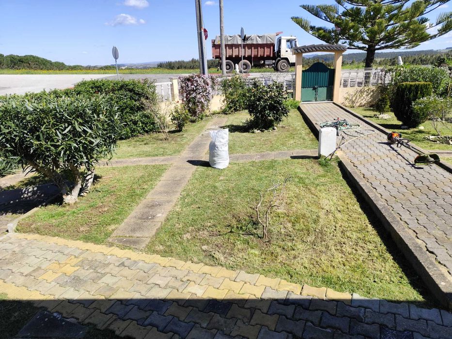 Limpeza e Manutenção de Jardins