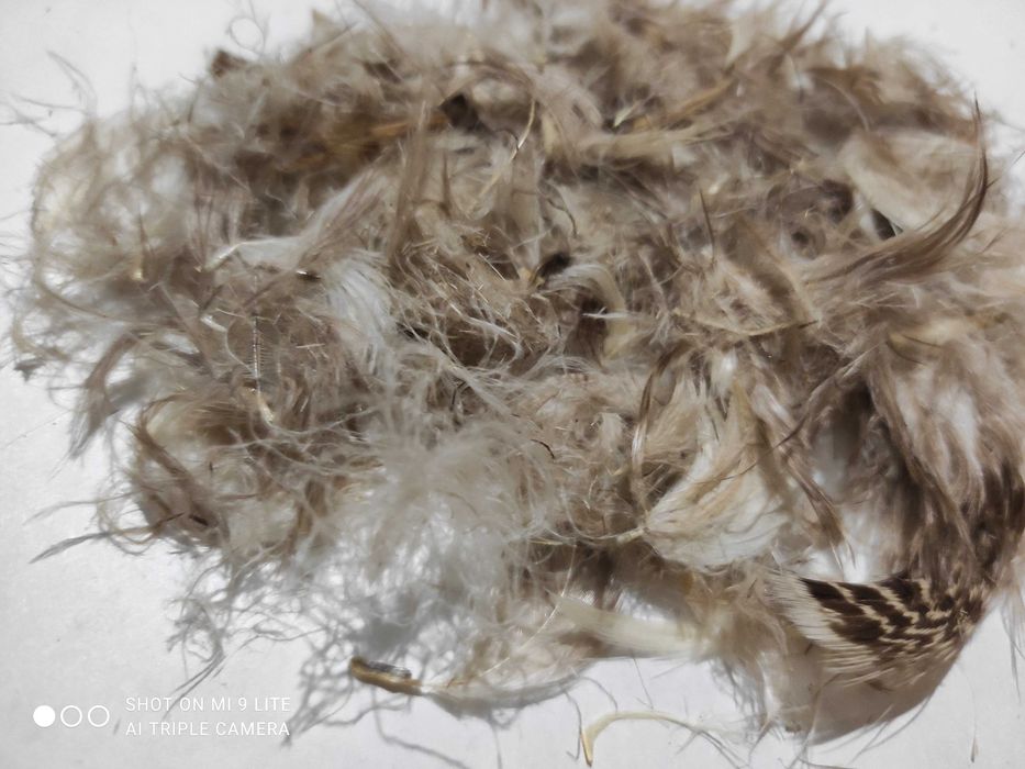 Продам Пуховую перину.