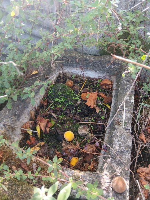 Pias de pedra antigas em bom estado calon