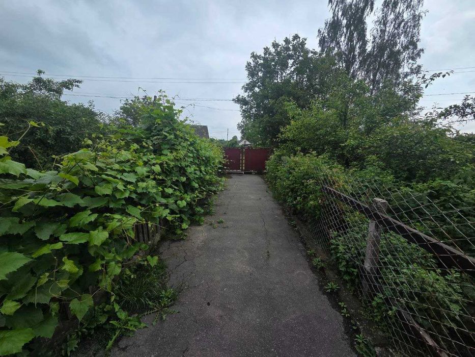 Будинок біля міста Звягель, 32 сотки,ліс поруч