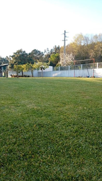Serviço de limpeza de terrenos/ jardinagem