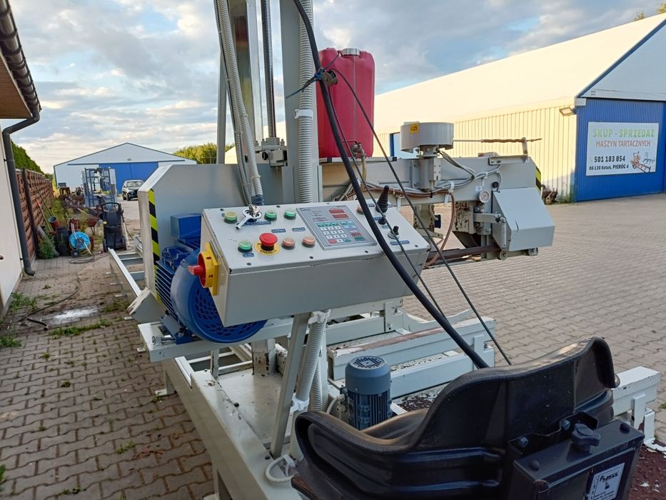 Trak taśmowy lignuma szerokotnący