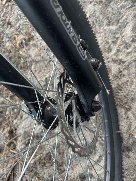 Rower typu dirt kellys whip 10