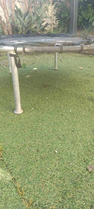 Trampoline training426483084994160641