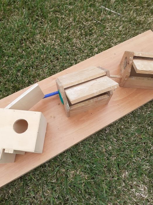 Ninhos para exóticos em bom estado