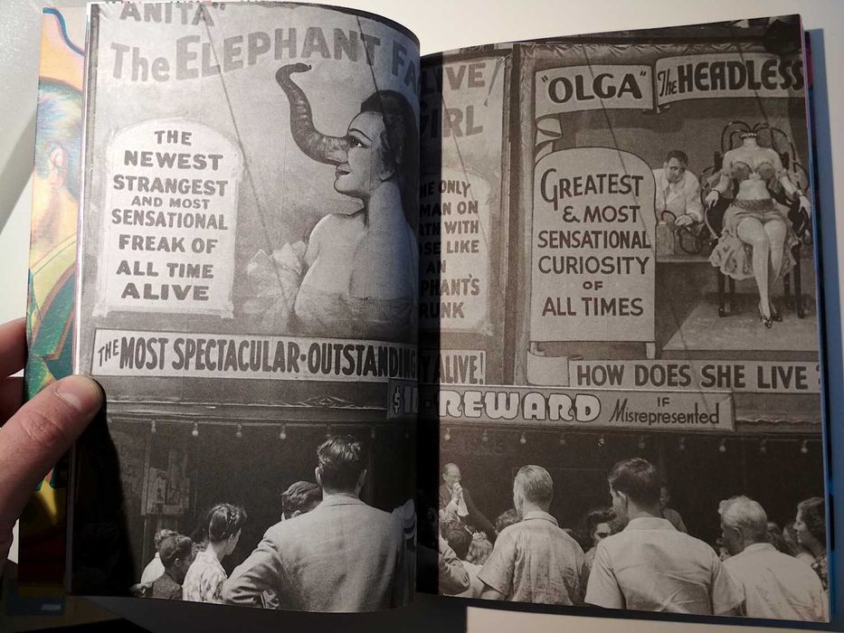 Cultura Lixo: Uma Espeleologia do Gosto (porte incluído)