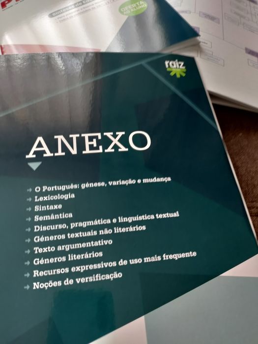 Português 12+ caderno de atividades +síntese de educação literária