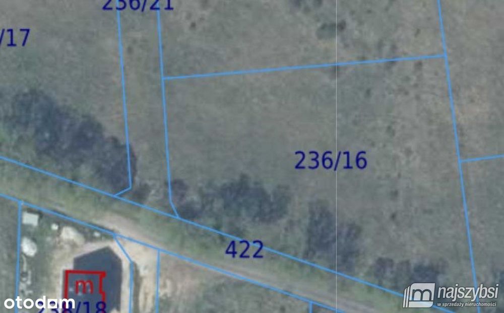 Krępsko - działka 3000 m2 otoczona naturą