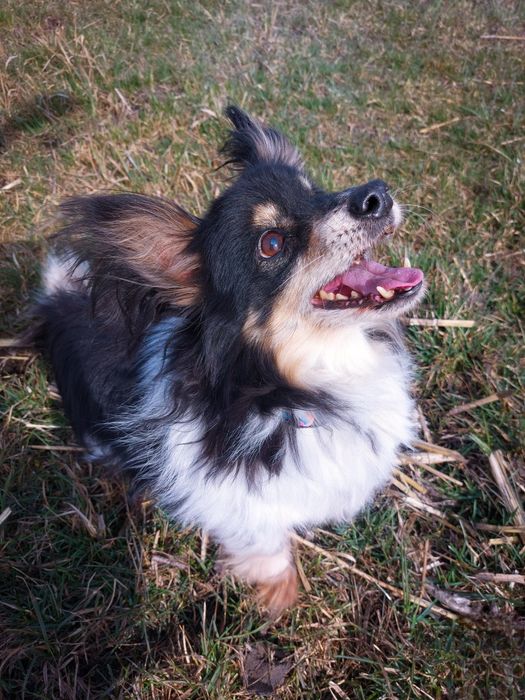 Naprawdę nikt ? PILNE