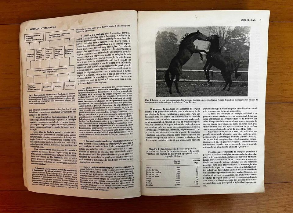 Fisiologia Veterinária