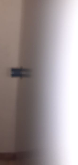 Porta intriore  branca