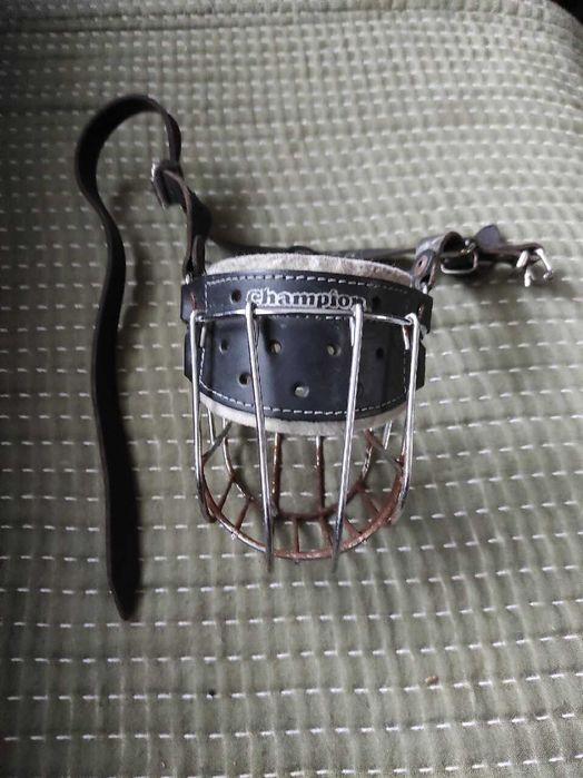 Kaganiec dla dużej rasy