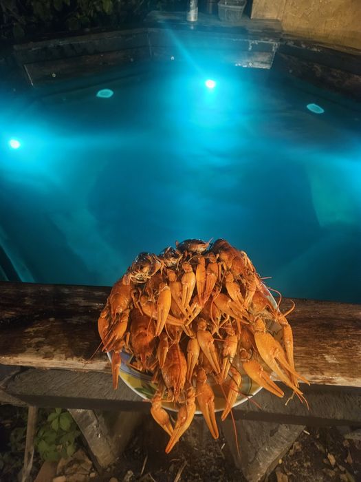 Чан на дровах з гидромассажем