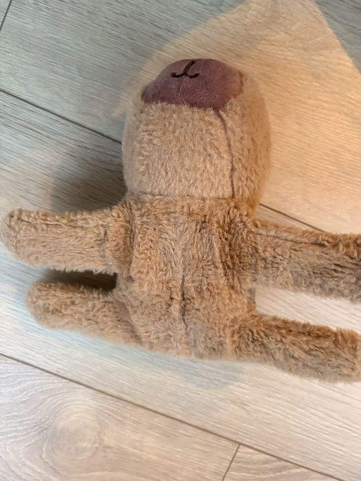 Pluszak kapibara na rękę