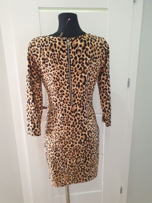 Sukienka H&M M bawełniana panterka