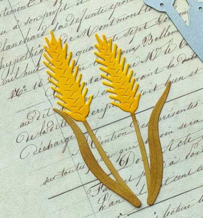 Conjunto de Cortantes Espigas