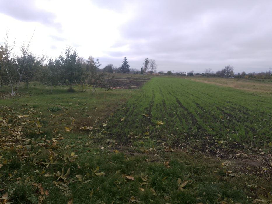 Продам будинок с.Сатанівка