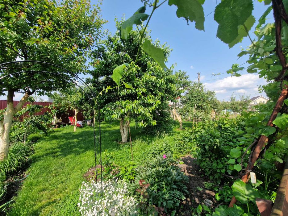 будинок/дача 68 кв.м в Новосілках, Вишгородський