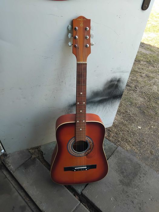 Gitara akustyczna Delfin +pokrowiec