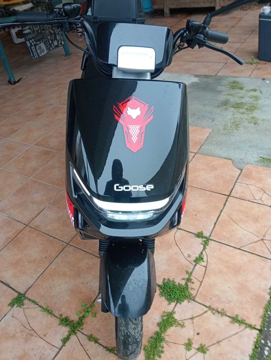 Scoter elétrica goose fox perfomance