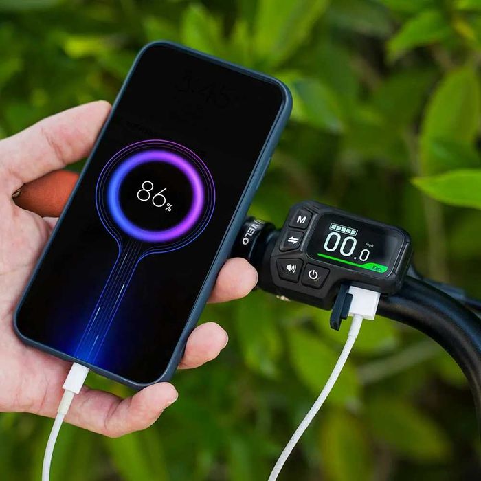 Rower elektryczny Fiido C11 Pro Emerald Blue