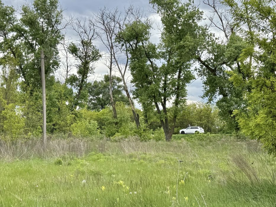 Земельна ділянка фасадна! 3га!! Бориспіль!