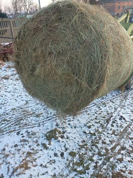 Siano i Sianokiszonka