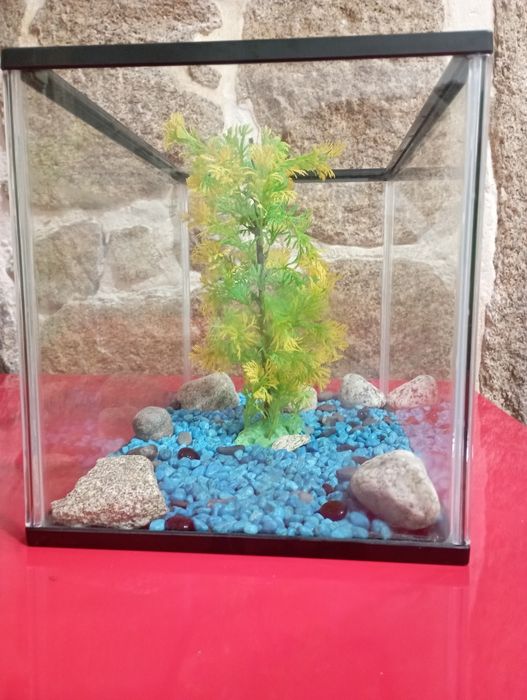 Aquário + Acessórios