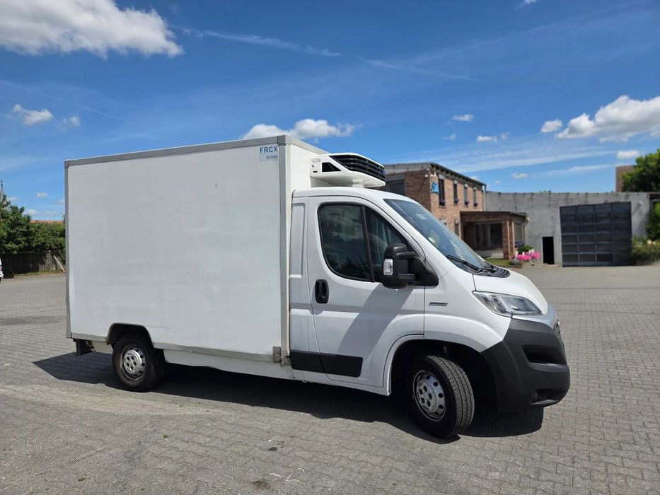 Fiat Ducato  2.3 2016 CHŁODNIA Agregat 246 tyś Mroźnia -29 Niskopodwoziowy Kontener