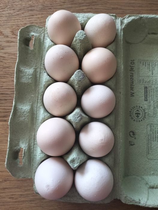 Świeże Jajka wiejskie
