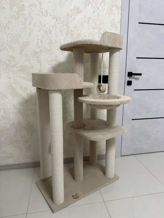 Комплекс для котів