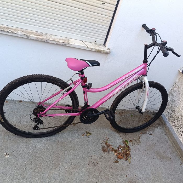 Bicicleta Adolescente Roda 26