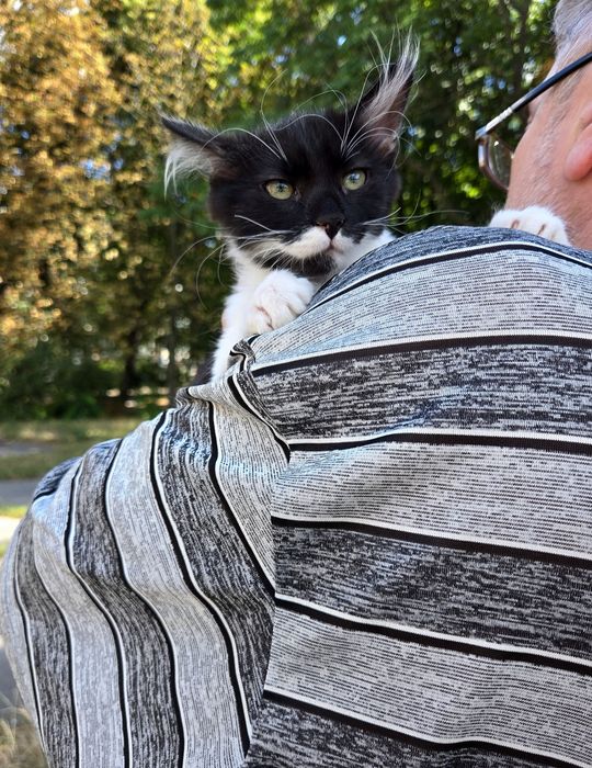 Хлопчик і дівчинка, 4,5 міс.