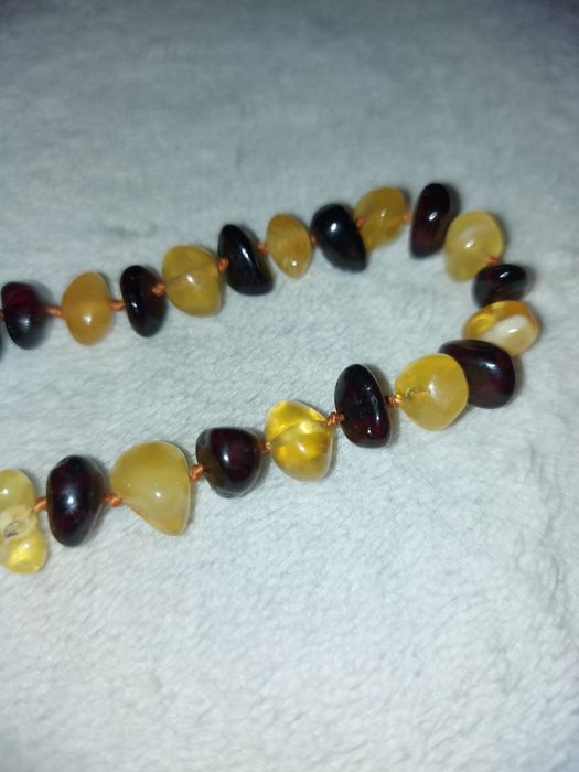 Choker ze szlifowanych bursztynów 43-44 cm