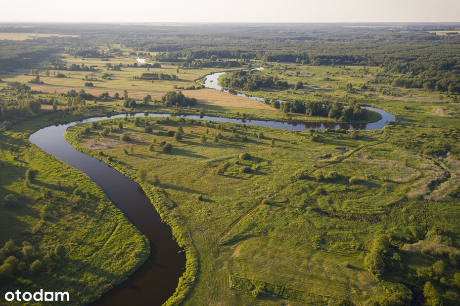 Atrakcyjna działka 0,56 ha w okolicach Białobrzegów - OKAZJA!